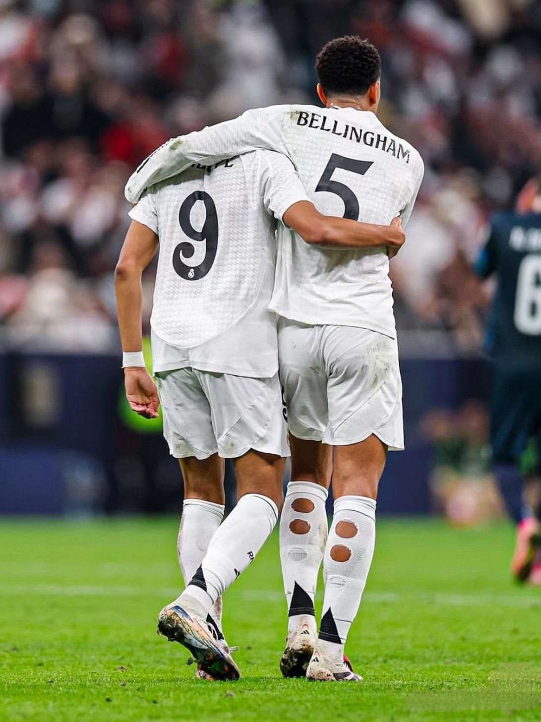 如果你需要 如果你需要