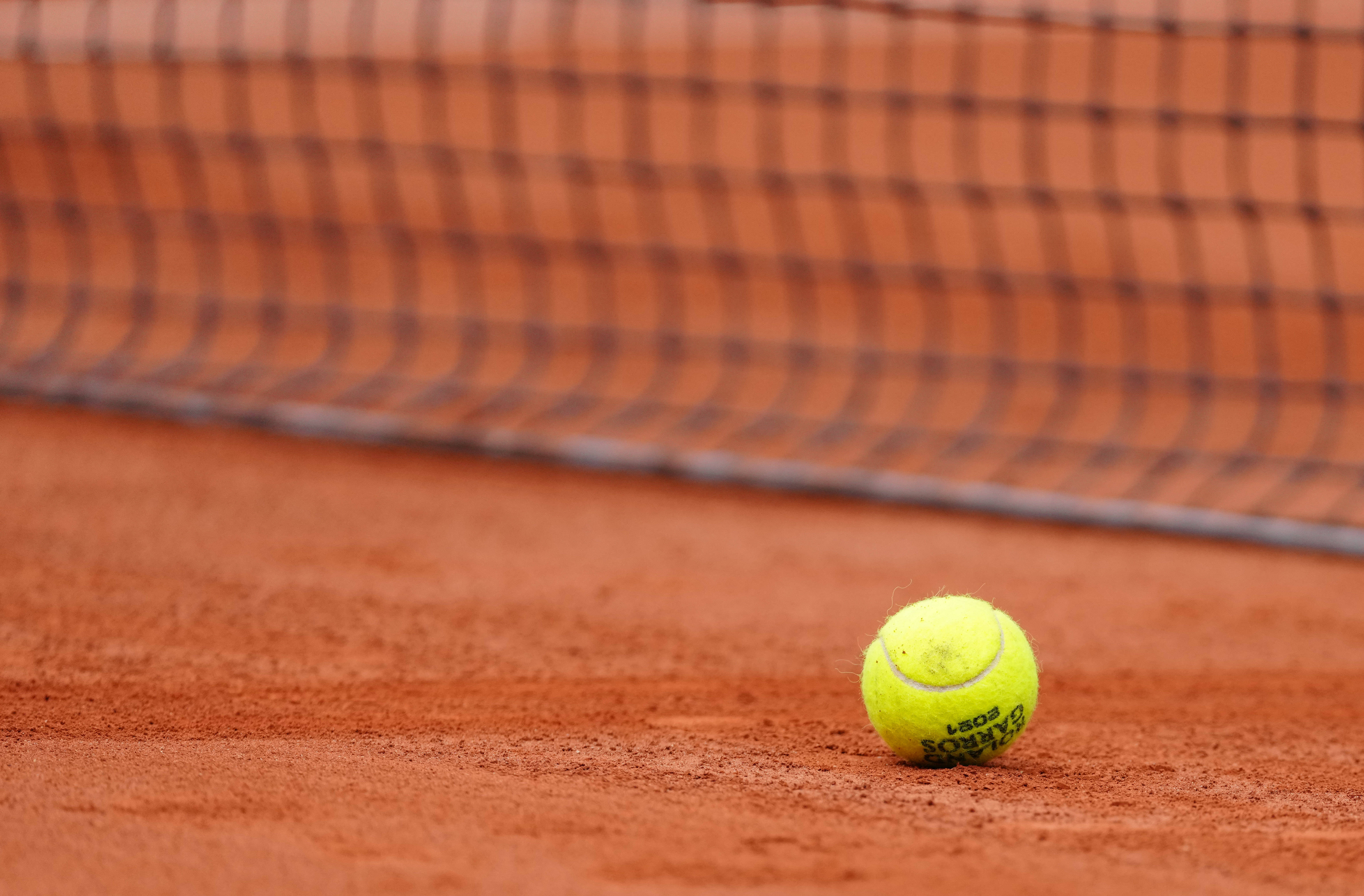 球队老板鲍 球队老板鲍