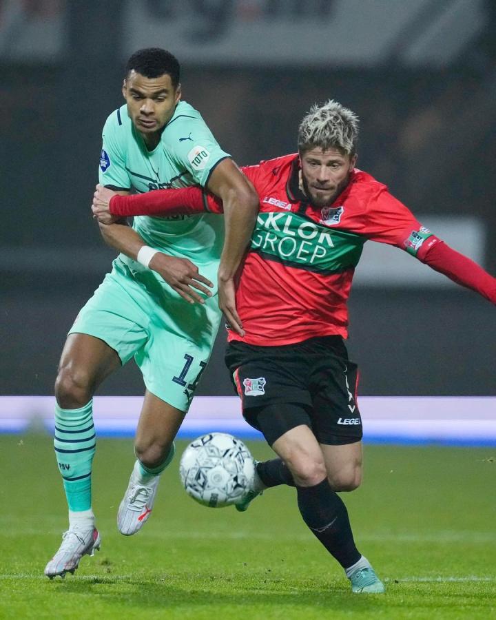 新东家的期 新东家的期